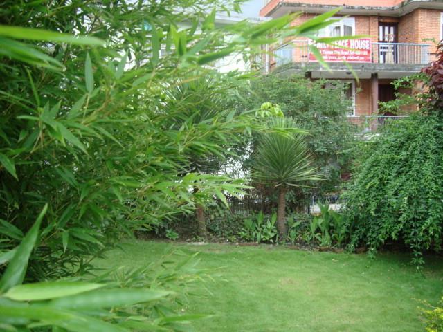 Kathmandu Peace Guesthouse Exterior foto